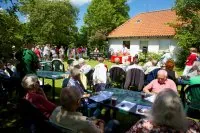 Billeder fra Grundlovsdag 2013